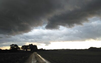 APPENA DOPO IL TEMPORALE
